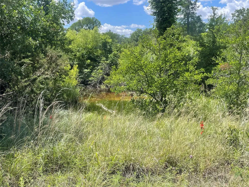 Lower Tonk Valley Road Graham, TX 76450
