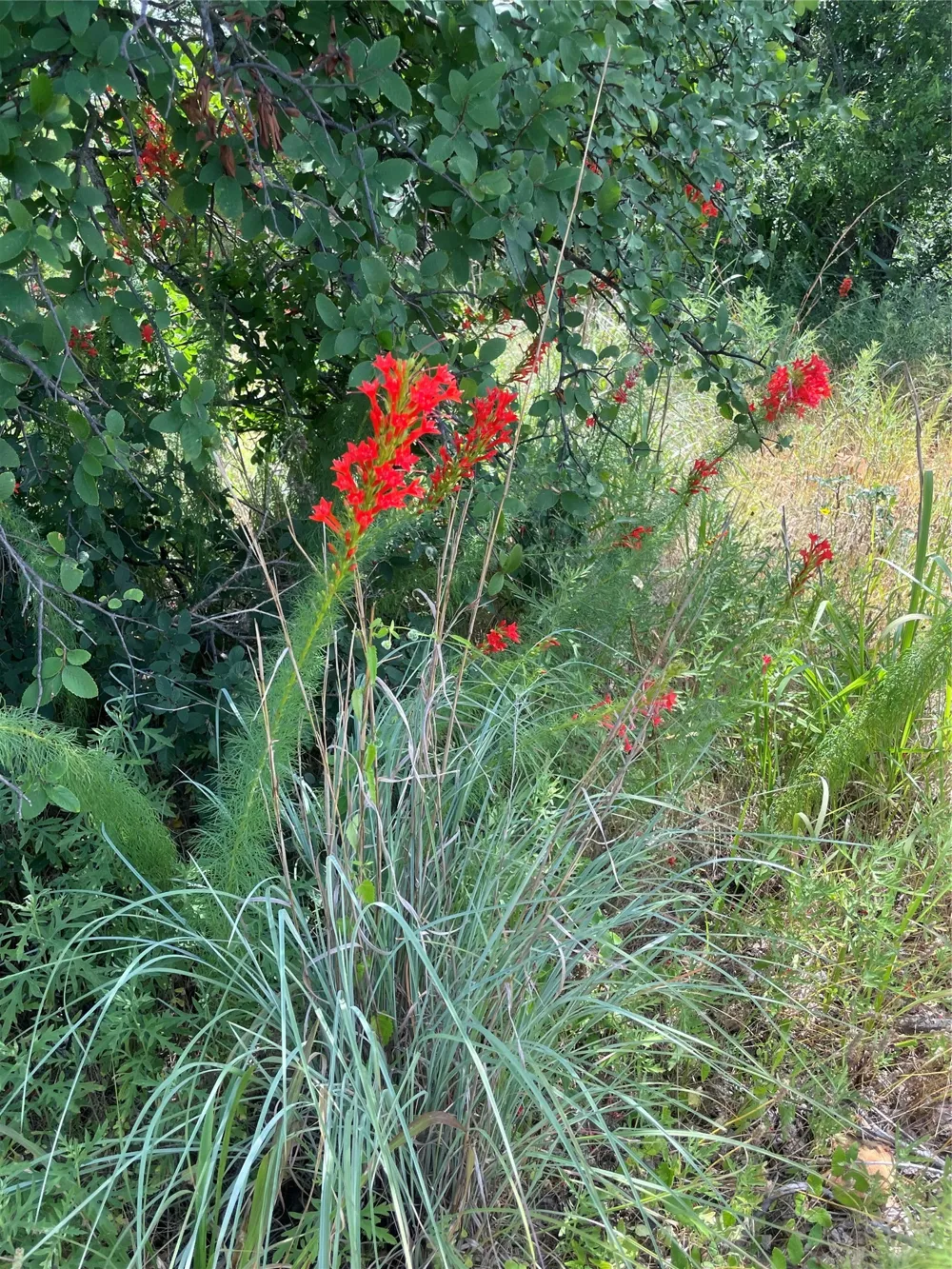 Lower Tonk Valley Road Graham, TX 76450