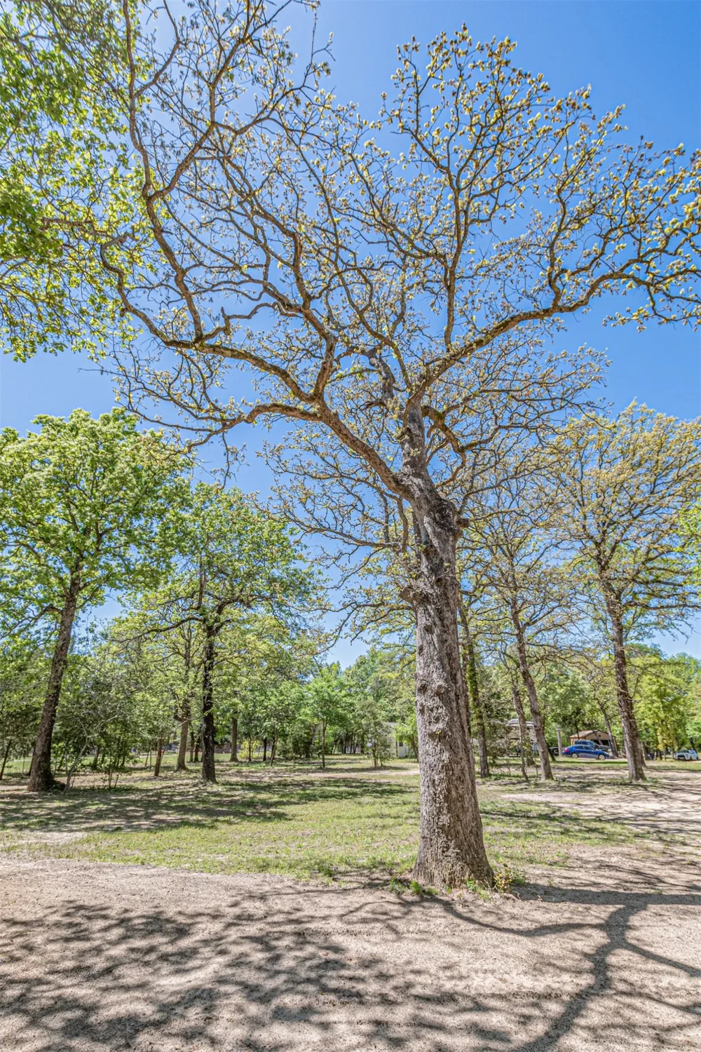 6481 County Road 4522 Athens, TX 75752