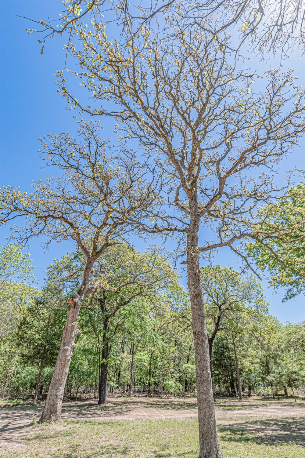6481 County Road 4522 Athens, TX 75752