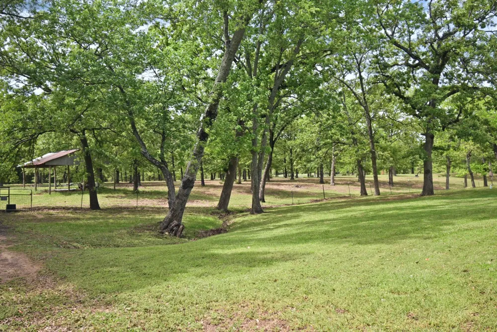 599 County Road 1260 Quitman, TX 75783