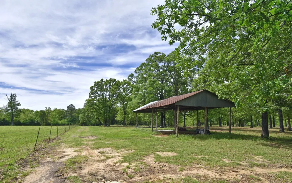 599 County Road 1260 Quitman, TX 75783