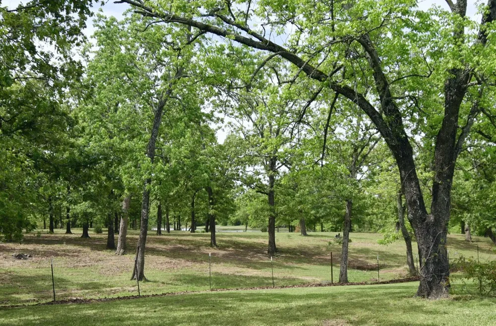 599 County Road 1260 Quitman, TX 75783