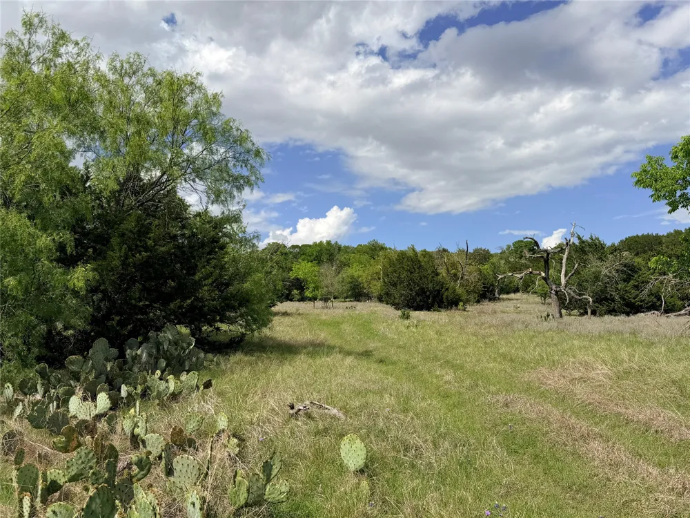 221 CR 250 Star, TX 76880