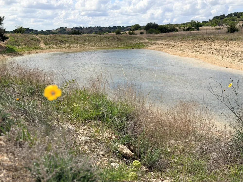 221 CR 250 Star, TX 76880