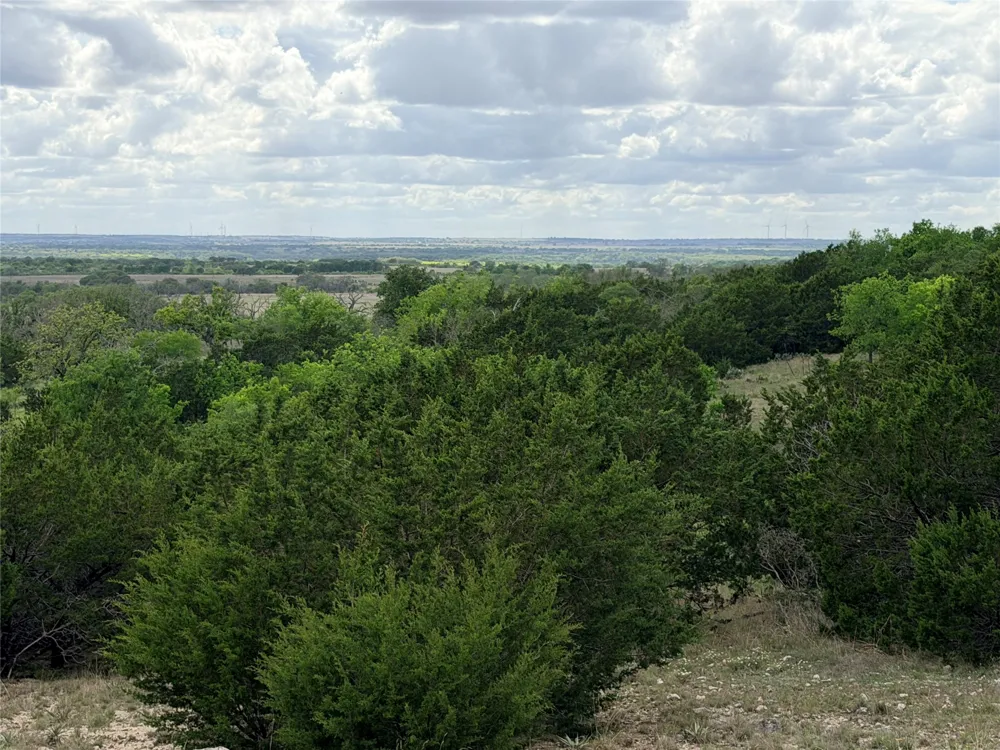 221 CR 250 Star, TX 76880
