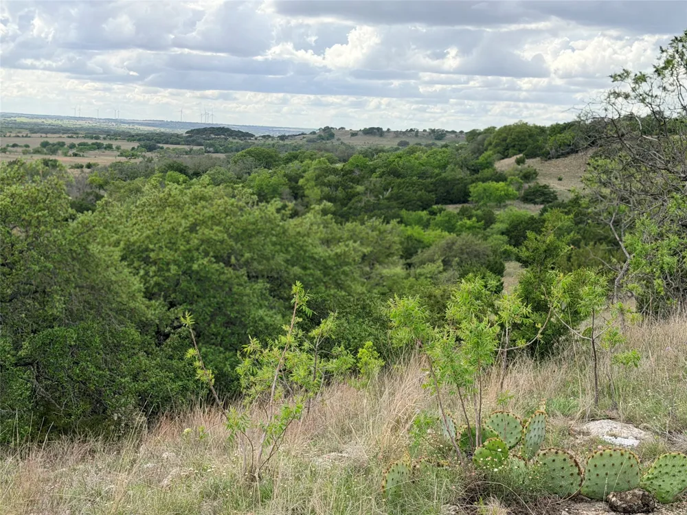 221 CR 250 Star, TX 76880