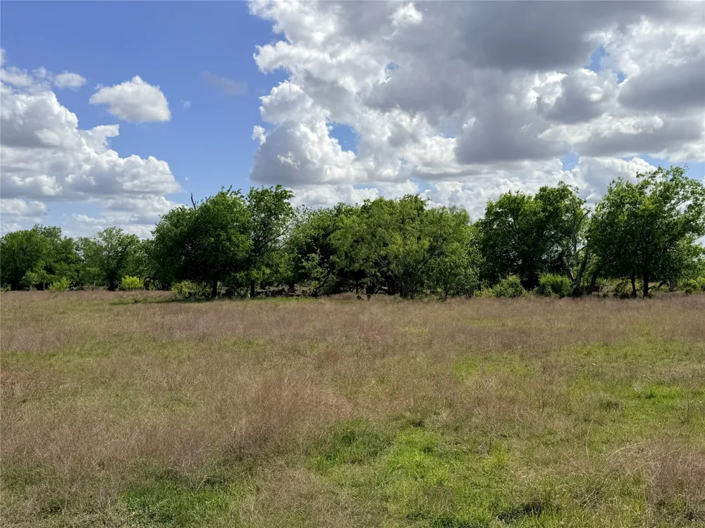221 CR 250 Star, TX 76880