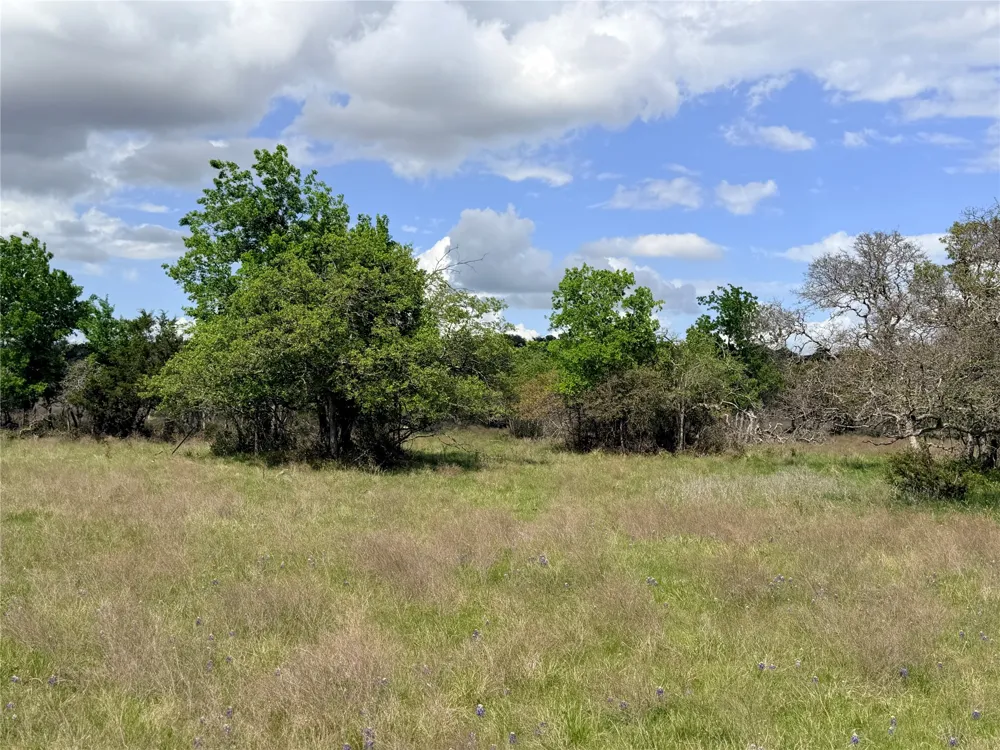 221 CR 250 Star, TX 76880