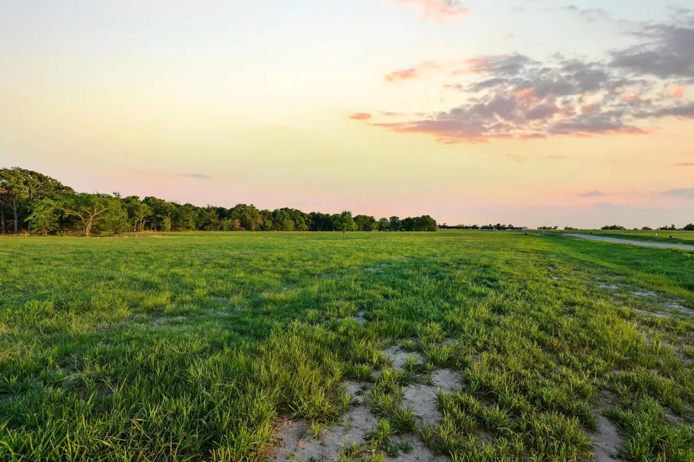 210 Diamond Point Dodd City, TX 75438