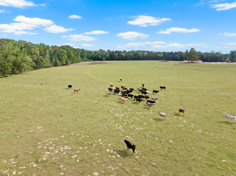 1018 County Road 4287 Winnsboro, TX 75494