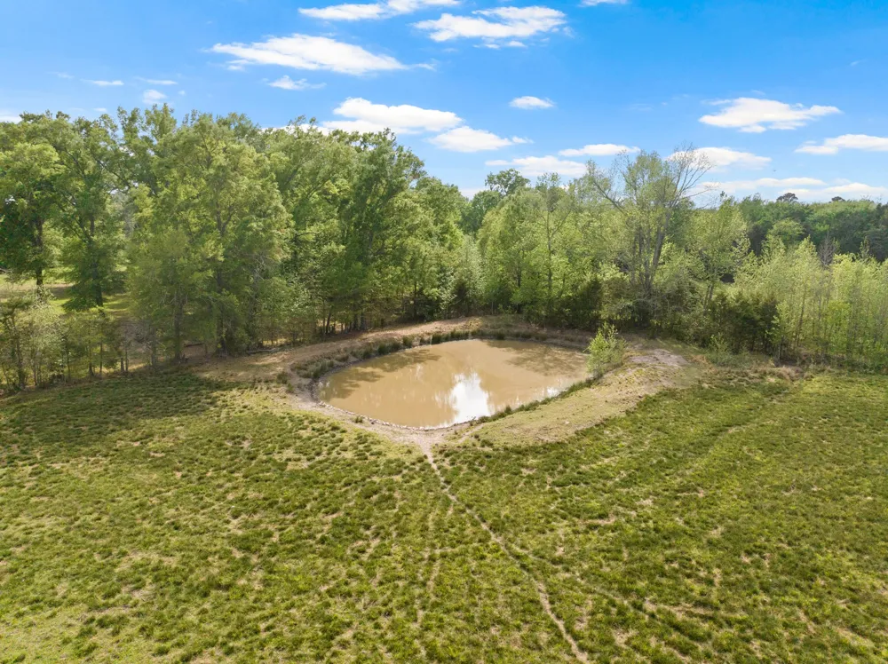 1018 County Road 4287 Winnsboro, TX 75494