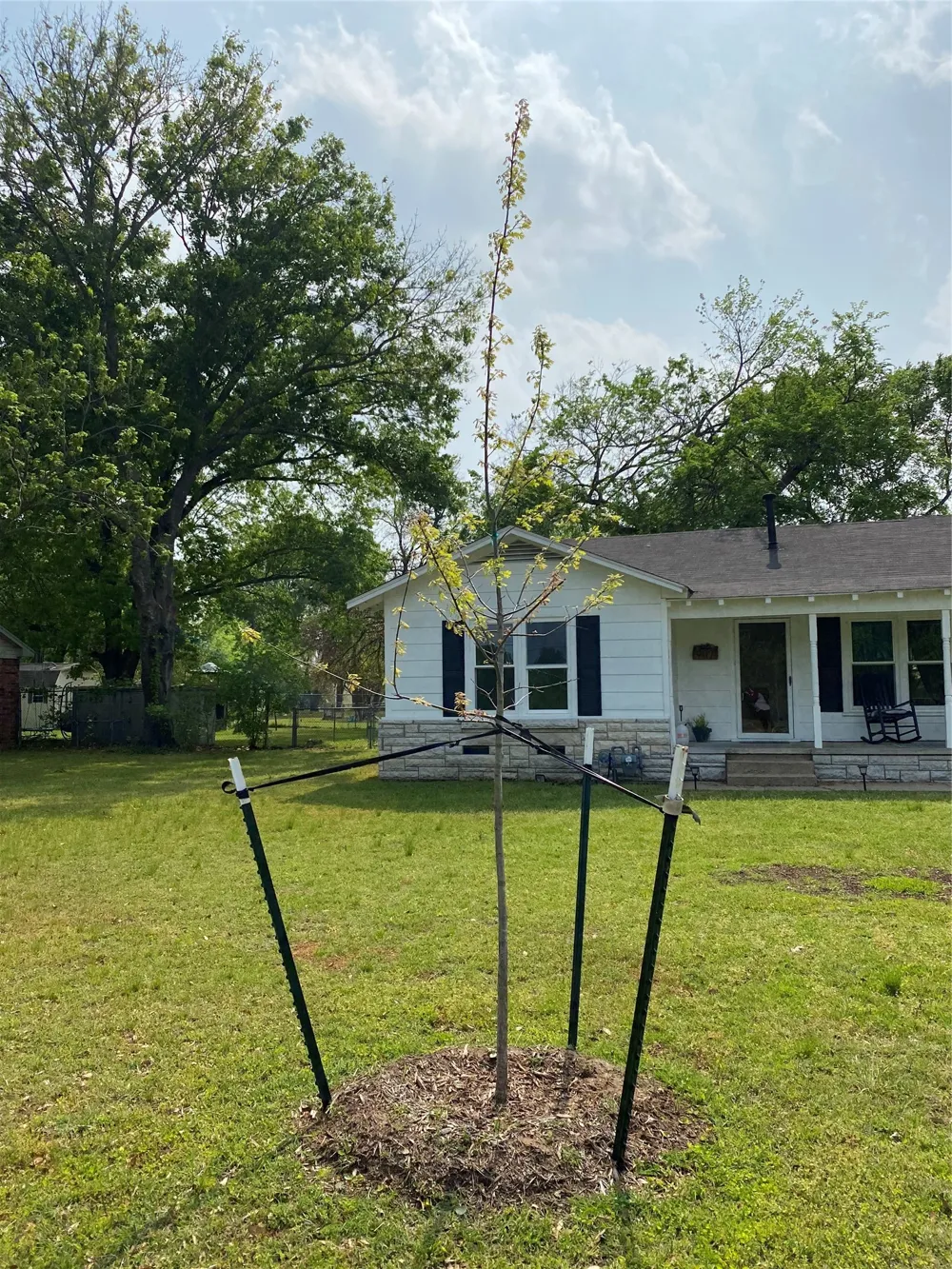 907 Magnolia Avenue Hubbard, TX 76648