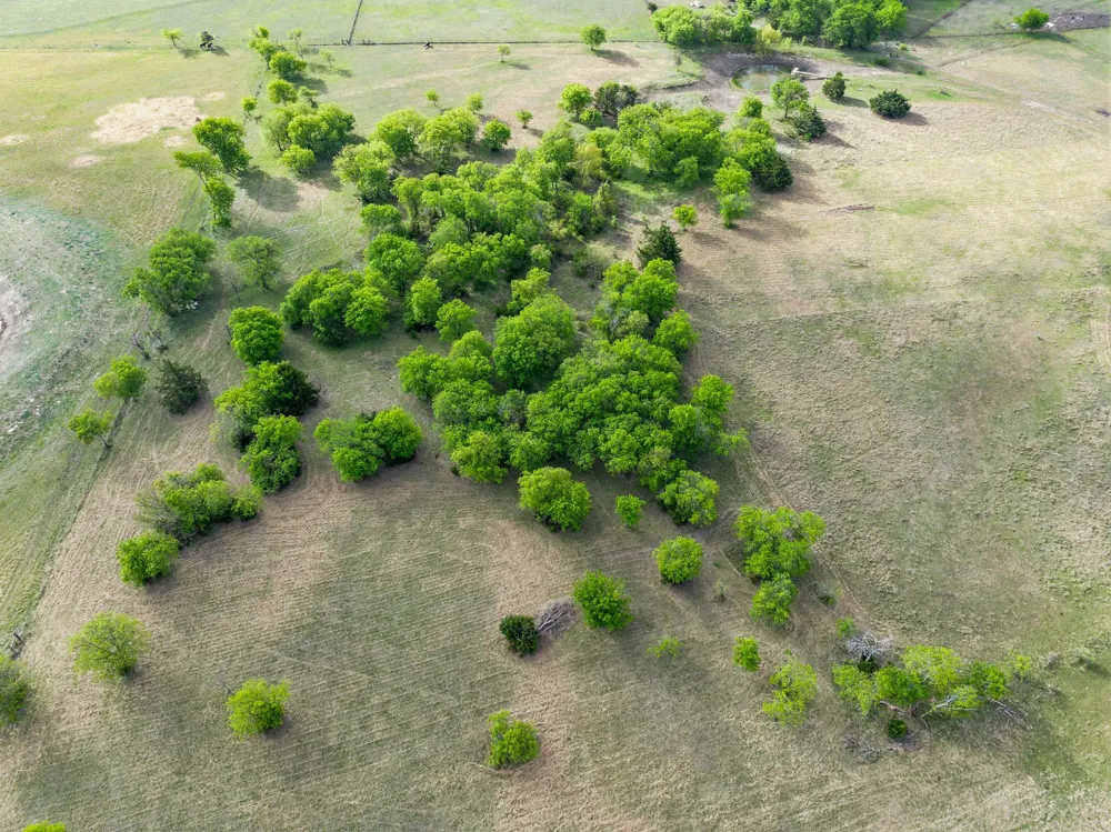 HCR 4307 Itasca, TX 76055