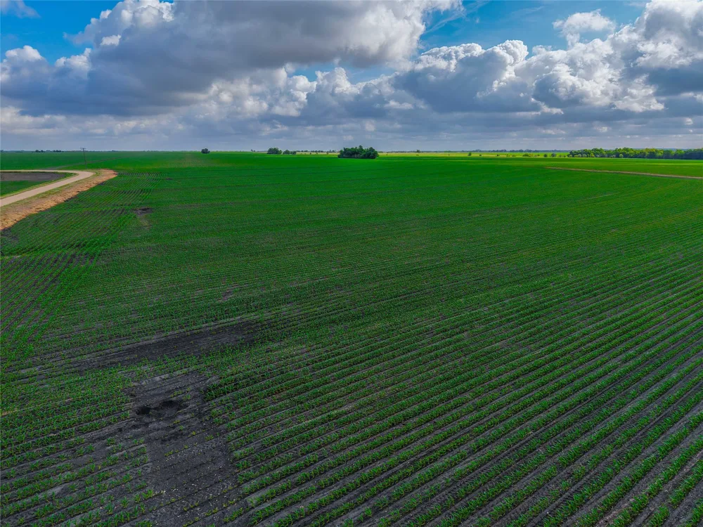 CATHEY CREEK ROAD Holland, TX 76534