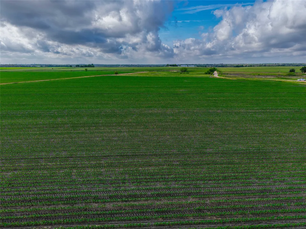 CATHEY CREEK ROAD Holland, TX 76534