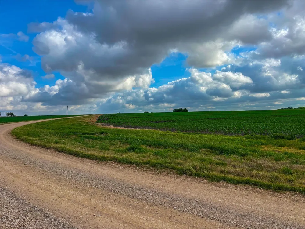 CATHEY CREEK ROAD Holland, TX 76534