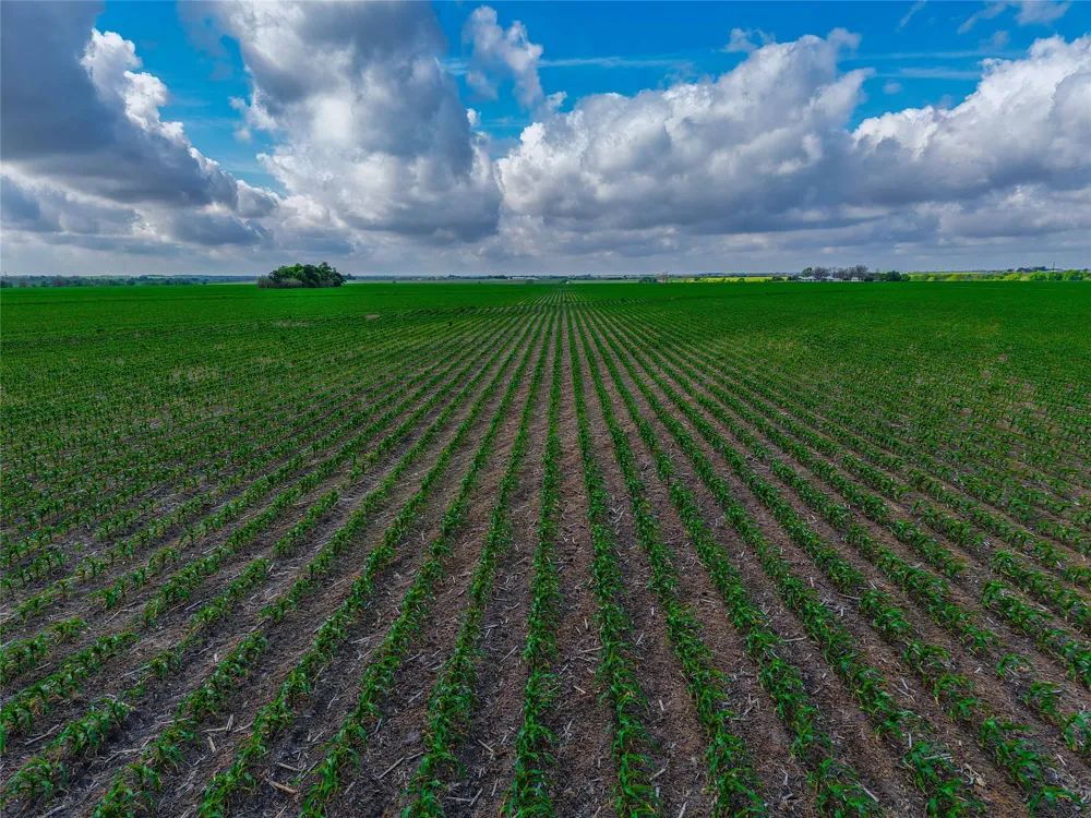 CATHEY CREEK ROAD Holland, TX 76534