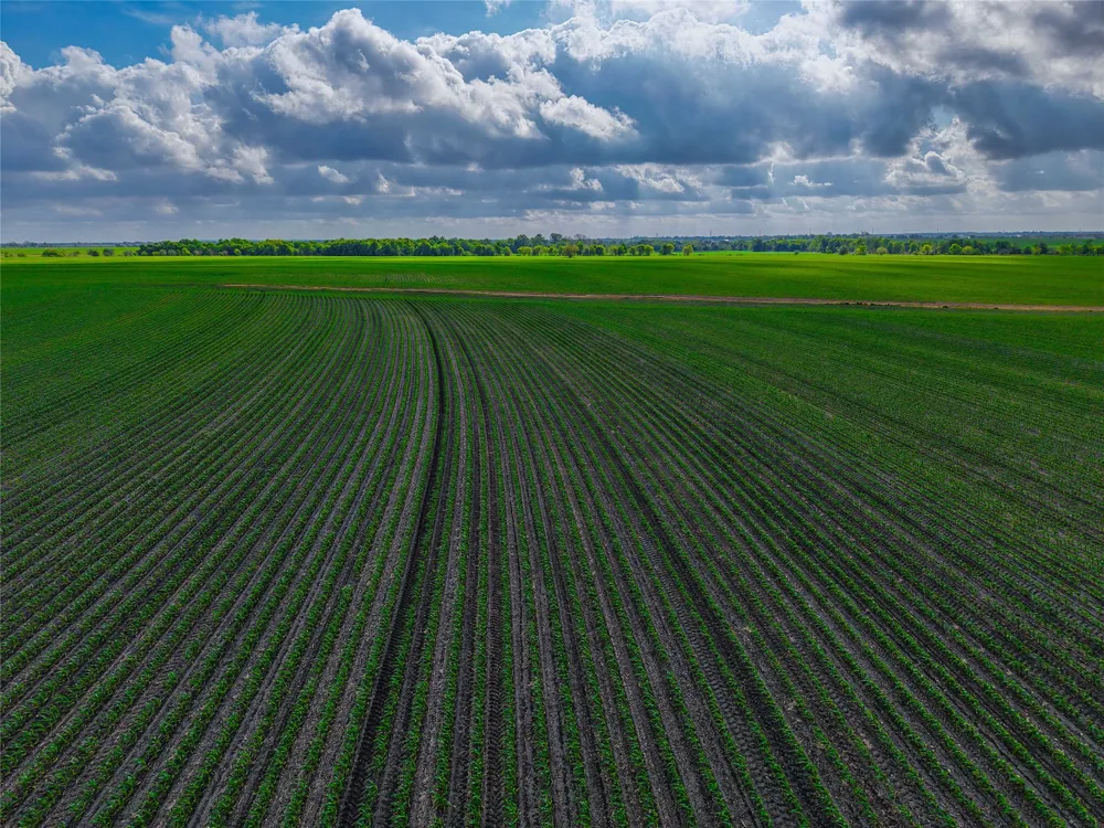 CATHEY CREEK ROAD Holland, TX 76534