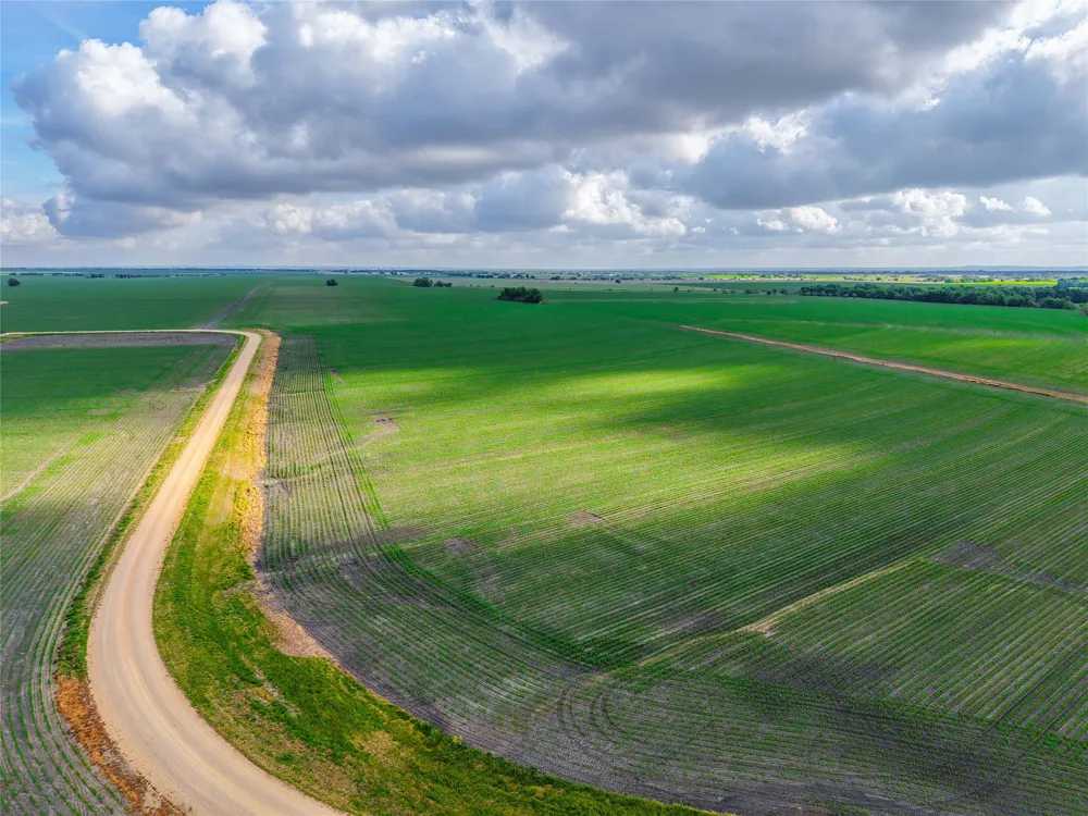 CATHEY CREEK ROAD Holland, TX 76534