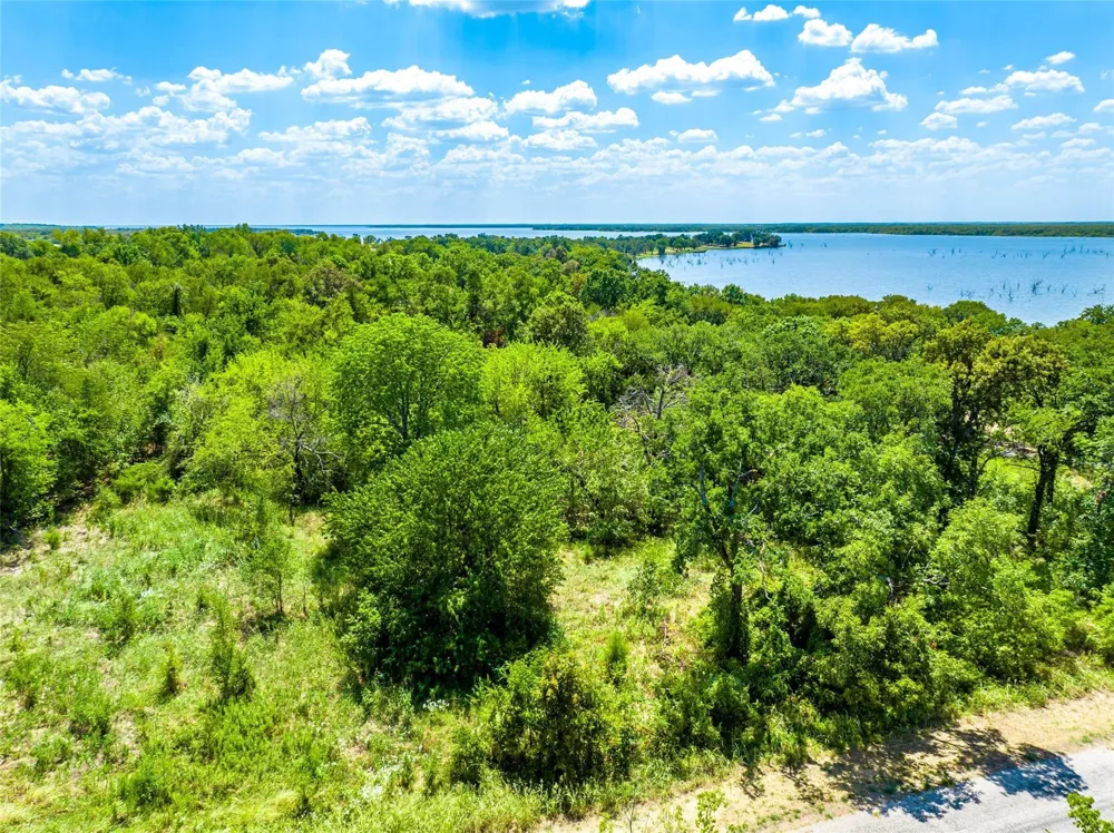 Bluffview Lane Lone Oak, TX 75453