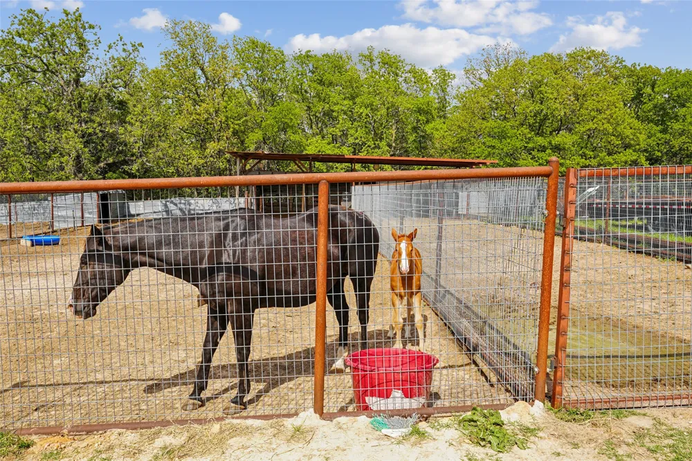 1406 Johnson Loop Montague, TX 76251