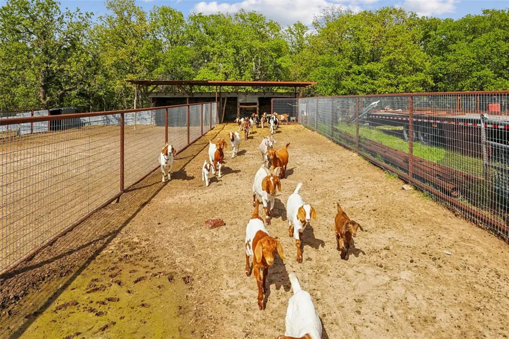 1406 Johnson Loop Montague, TX 76251