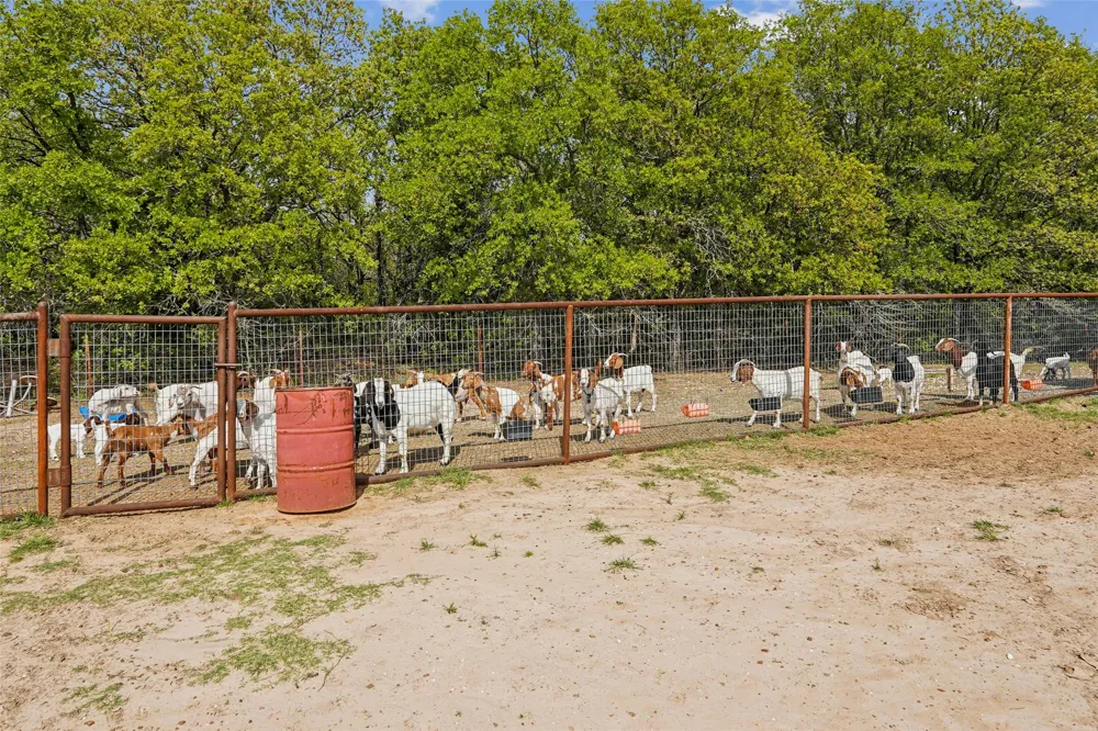 1406 Johnson Loop Montague, TX 76251