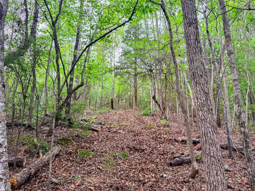 FM 838 Overton, TX 75684