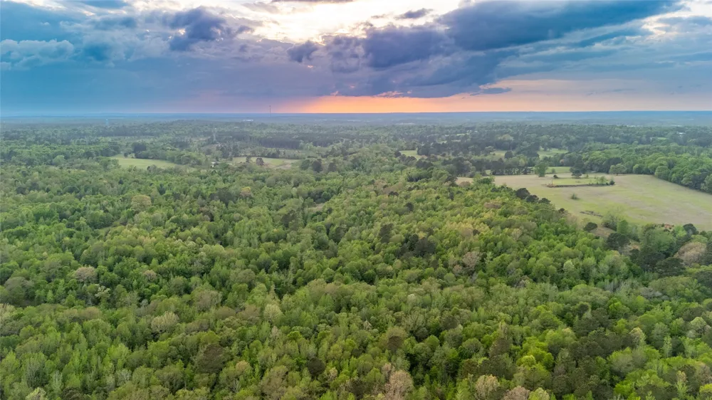 FM 838 Overton, TX 75684