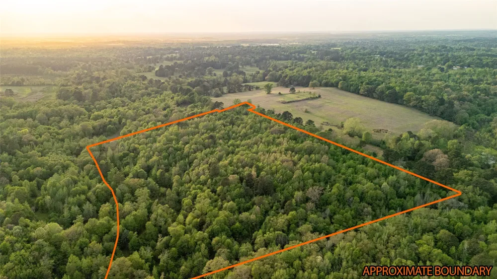 FM 838 Overton, TX 75684