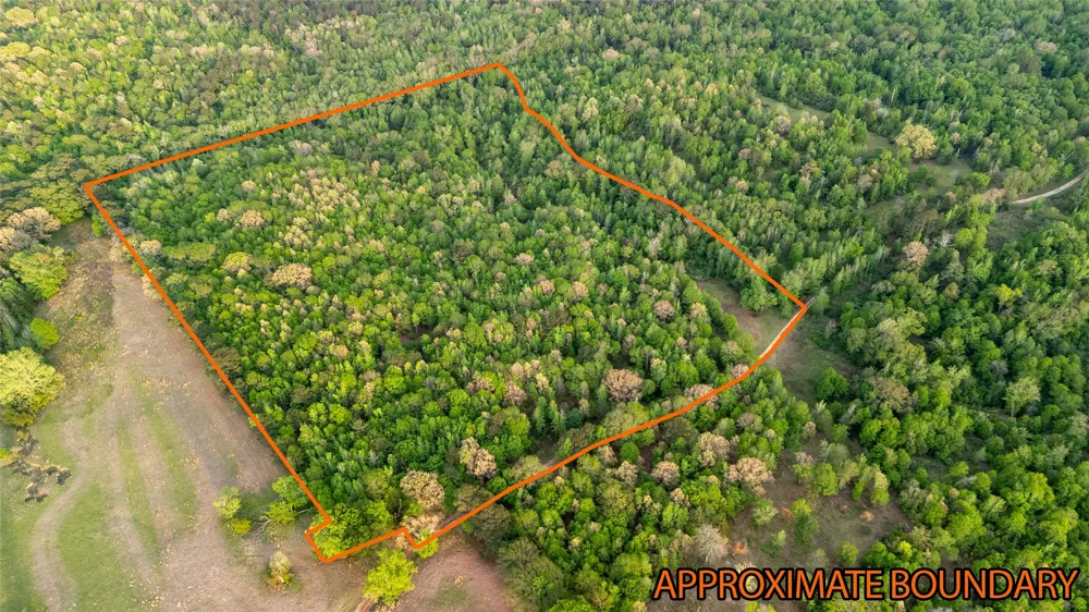 FM 838 Overton, TX 75684
