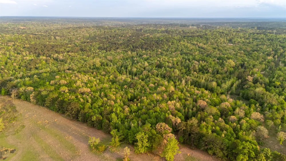 FM 838 Overton, TX 75684