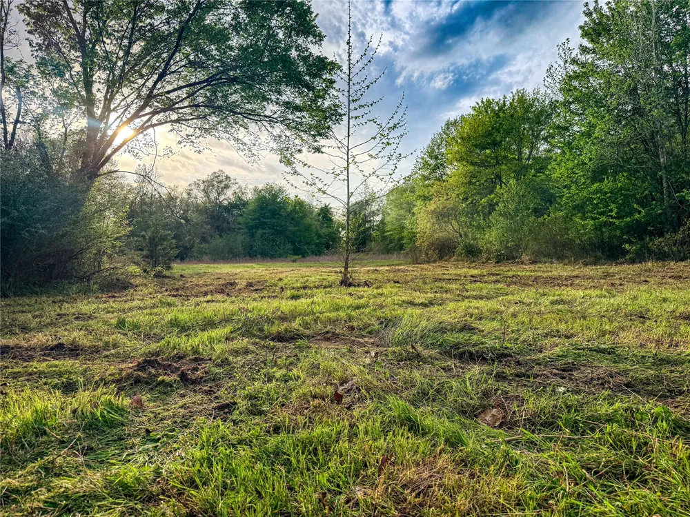FM 838 Overton, TX 75684