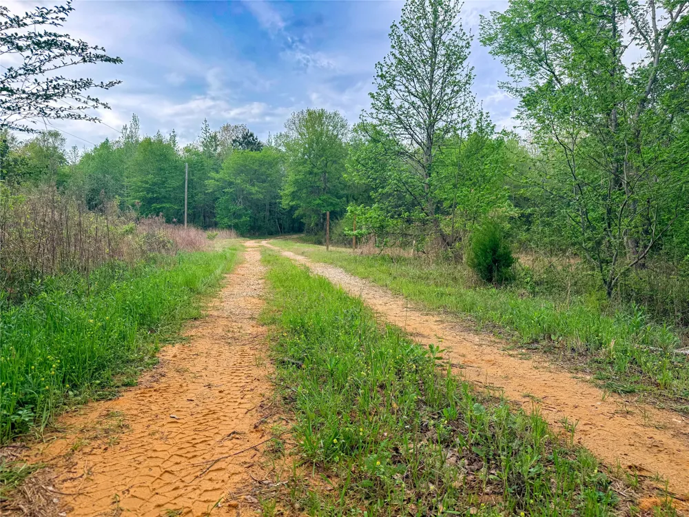 FM 838 Overton, TX 75684