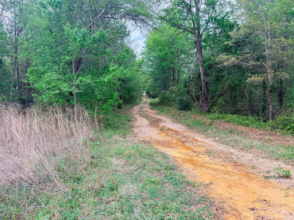 FM 838 Overton, TX 75684