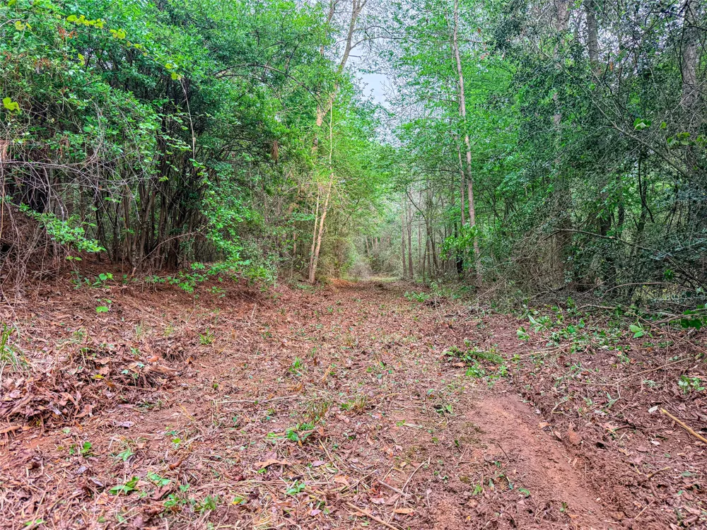 FM 838 Overton, TX 75684