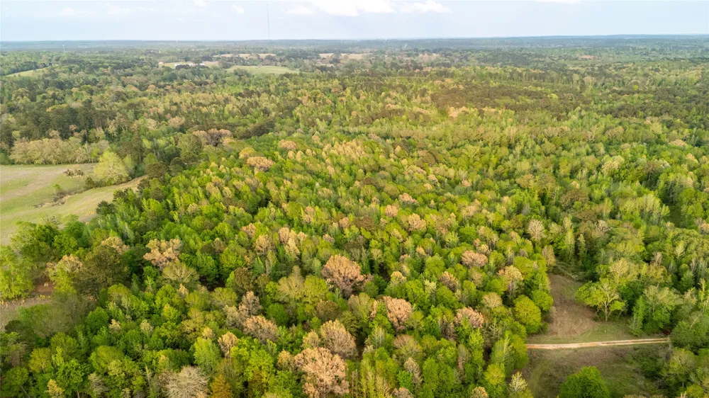 FM 838 Overton, TX 75684