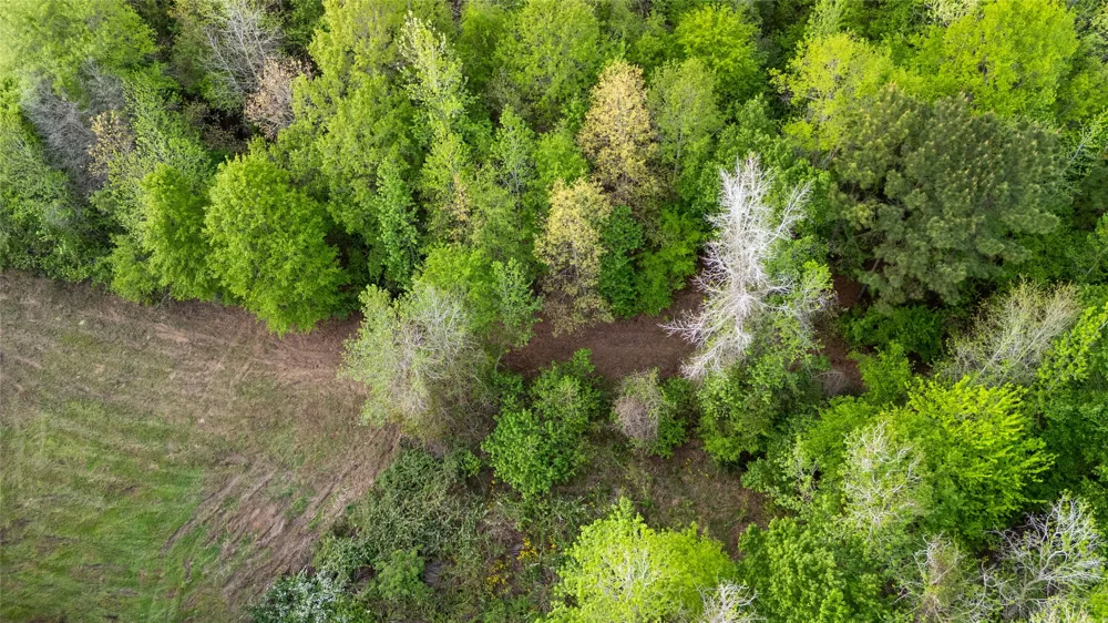 FM 838 Overton, TX 75684