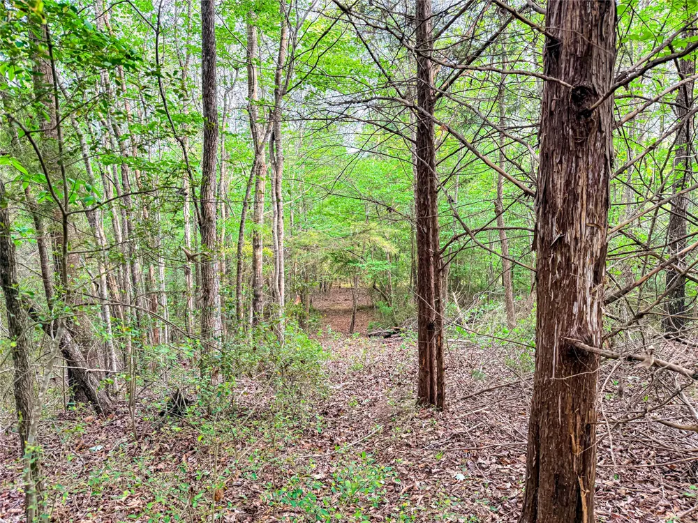 FM 838 Overton, TX 75684