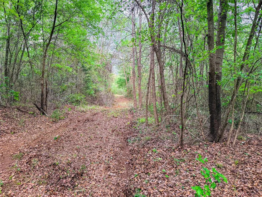 FM 838 Overton, TX 75684