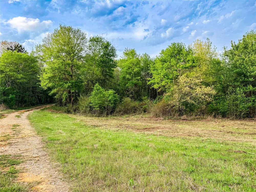 FM 838 Overton, TX 75684