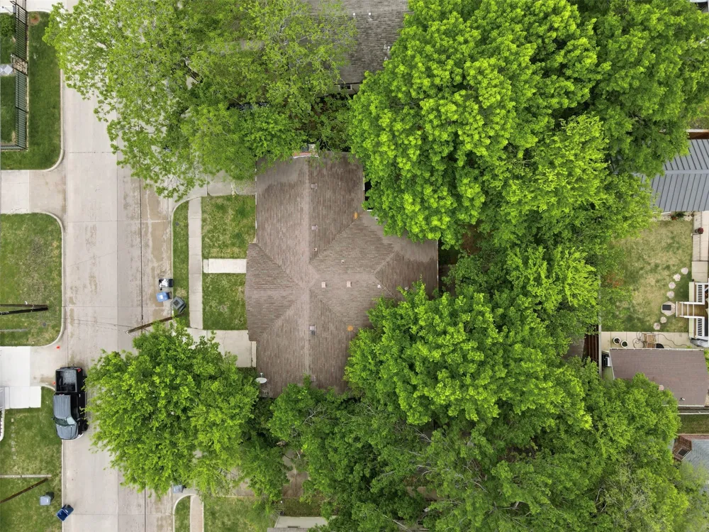 1207 College Street McKinney, TX 75069