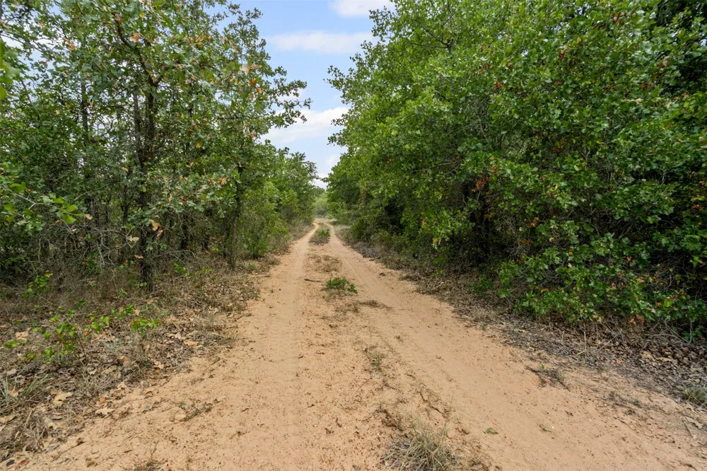 451 County Road 4975 Desdemona, TX 76445