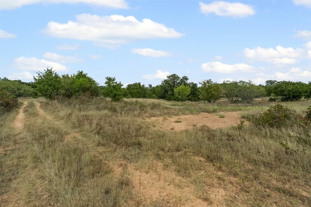 451 County Road 4975 Desdemona, TX 76445