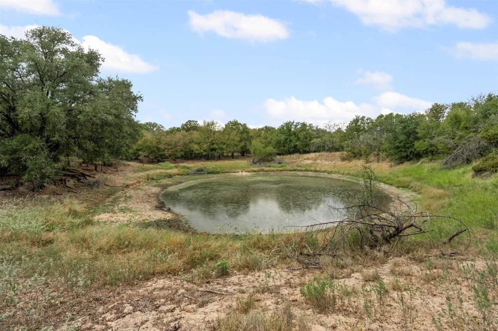 451 County Road 4975 Desdemona, TX 76445