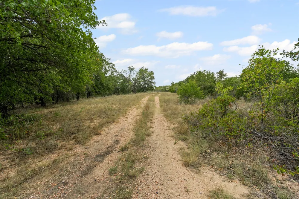 451 County Road 4975 Desdemona, TX 76445