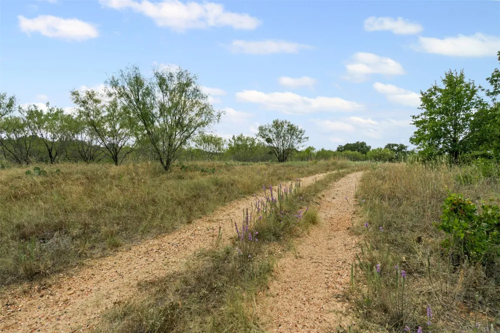451 County Road 4975 Desdemona, TX 76445