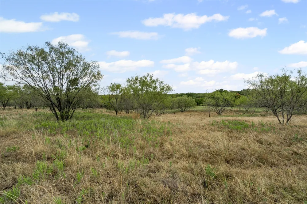 451 County Road 4975 Desdemona, TX 76445