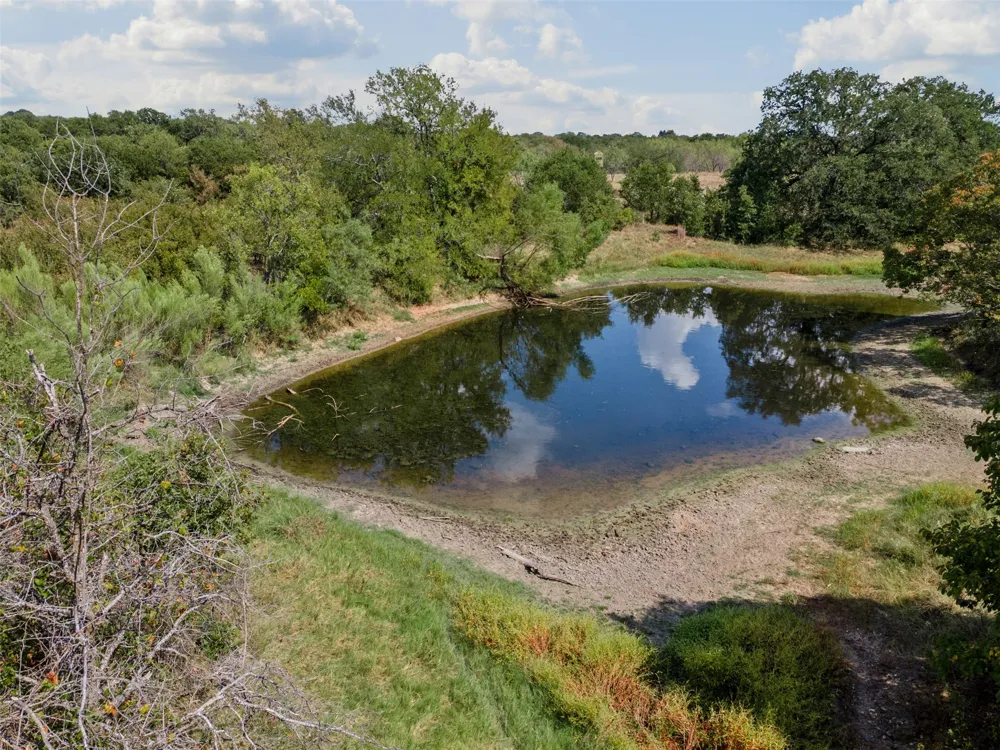 451 County Road 4975 Desdemona, TX 76445